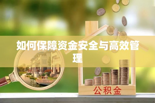 太白如何保障资金安全与高效管理