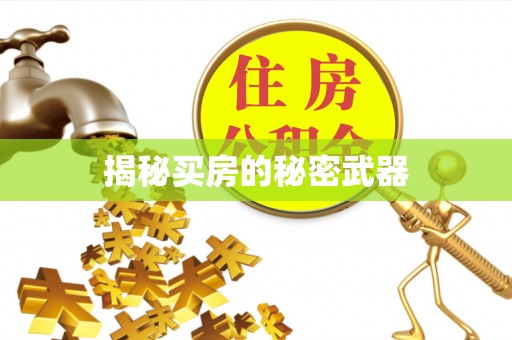 太白揭秘买房的秘密武器