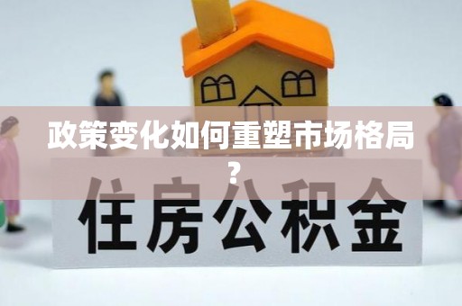 太白政策变化如何重塑市场格局？