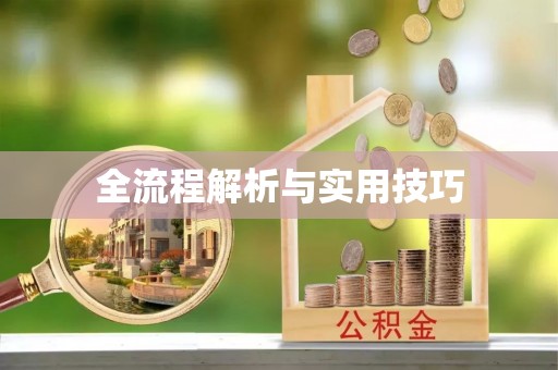 太白全流程解析与实用技巧