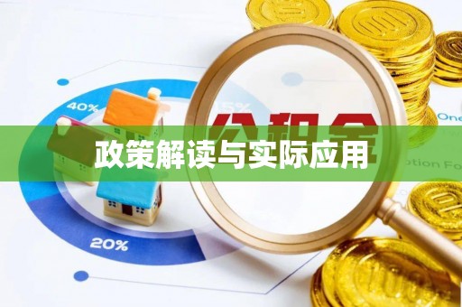 太白政策解读与实际应用