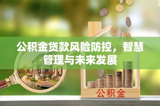 太白公积金贷款风险防控，智慧管理与未来发展