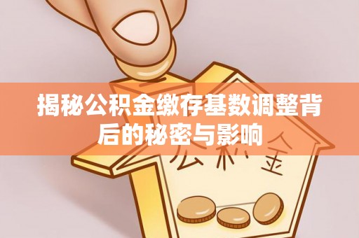 太白揭秘公积金缴存基数调整背后的秘密与影响