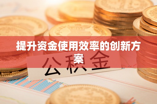 太白提升资金使用效率的创新方案