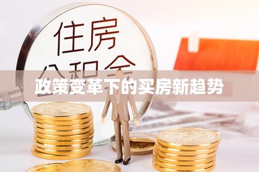 太白政策变革下的买房新趋势