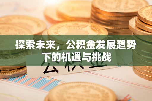太白探索未来，公积金发展趋势下的机遇与挑战