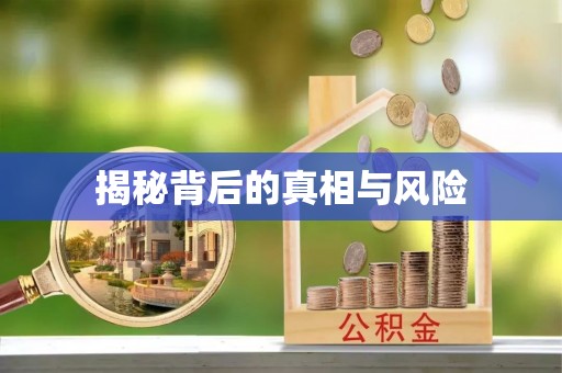 太白揭秘背后的真相与风险