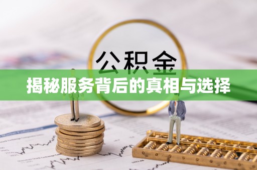 太白揭秘服务背后的真相与选择