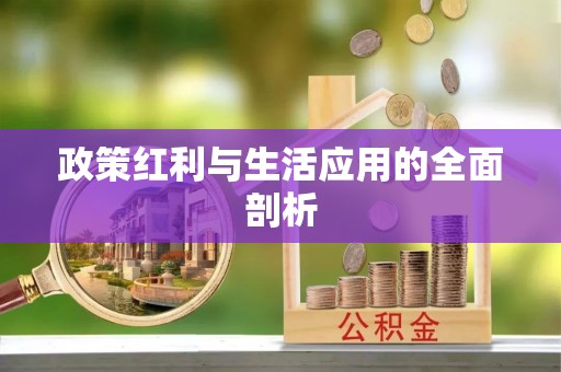 太白政策红利与生活应用的全面剖析