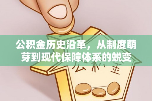 太白公积金历史沿革，从制度萌芽到现代保障体系的蜕变