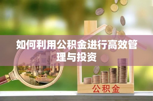 太白如何利用公积金进行高效管理与投资