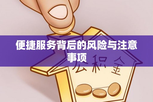 太白便捷服务背后的风险与注意事项
