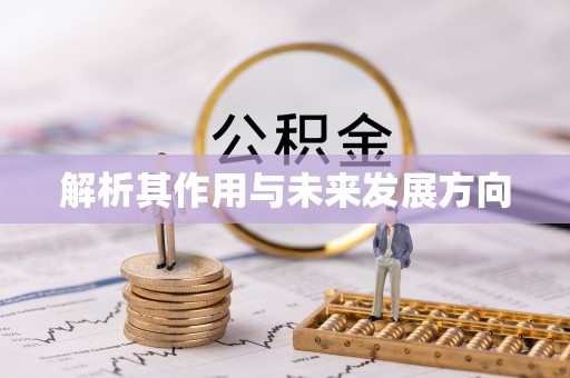 太白解析其作用与未来发展方向