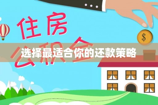 太白选择最适合你的还款策略