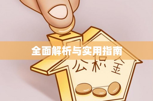 太白全面解析与实用指南