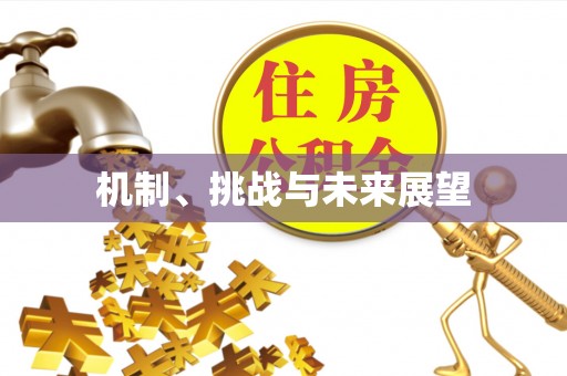 太白机制、挑战与未来展望