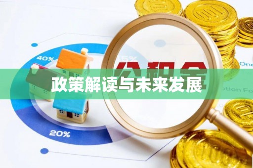 太白政策解读与未来发展